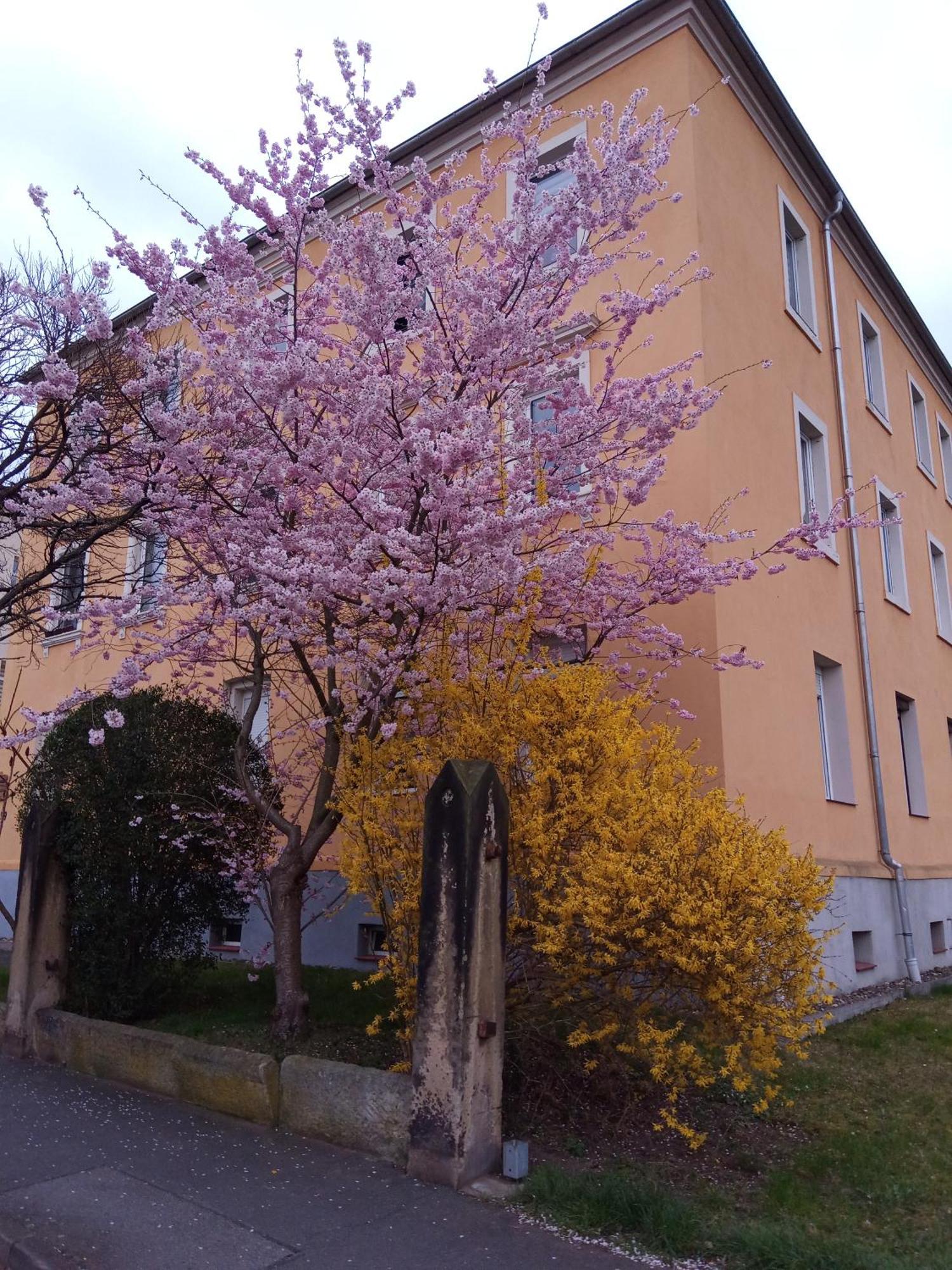 Ferienwohnungen Familie Winter Dohna المظهر الخارجي الصورة